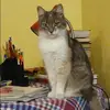 Отзыв от Алевтина Звягинцева